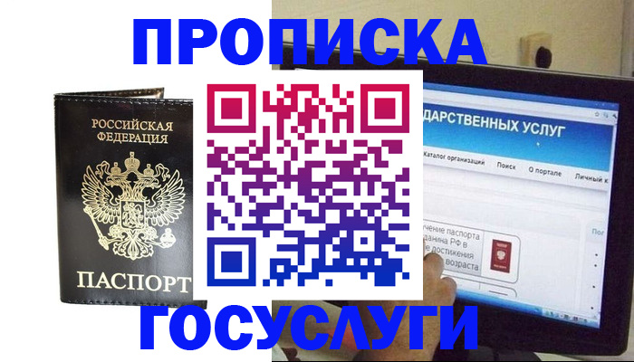 прописка гарантия в Порхове